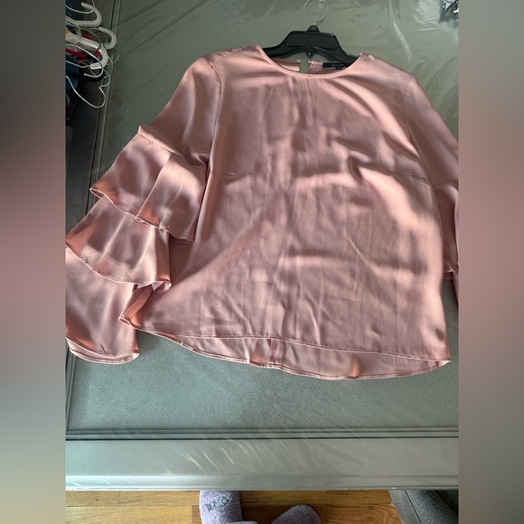 Basic Model Chic Blush Ruffle Sleeve Blouse - Picture 4 of 6